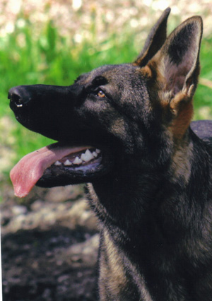 Grady_Head Side 6 mos