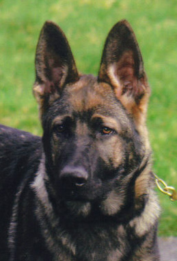 Grady_Head 4 mos