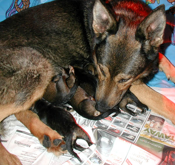 Helga w Newborns