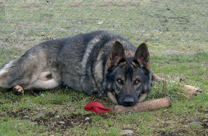 Norbo Platz with toy