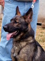 Terrell 2 yrs July 2009 150x