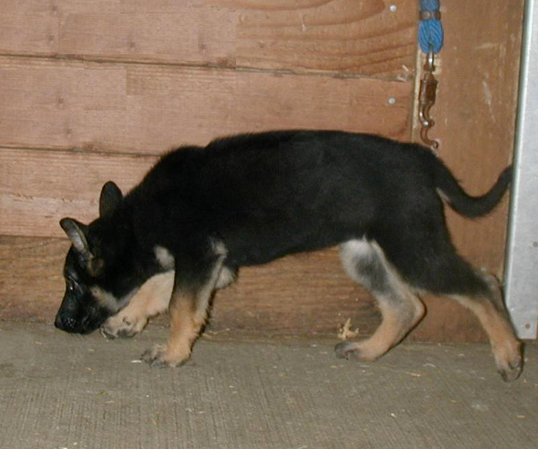 Volley_Argo Jonni Fe 12 weeks