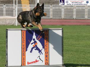 Catocompetes3