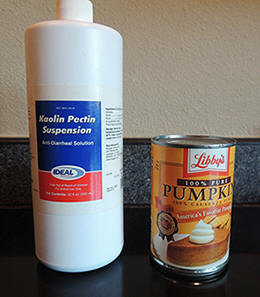 Kaolin Pectin and Pumpkin